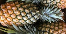Piñas de Cayena frescas