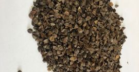 Póngase en contacto con +380684546229 Watsapp, Viber