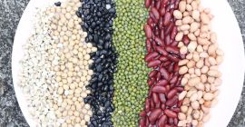 Venta al por mayor de frijoles (Ucrania) Bins Naturproduct