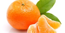 Productos agrícolas orgánicos y de calidad de granjas iraníes