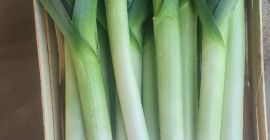 Bonita temporada de compras a la venta. Tengo sobras