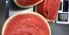 Venderé una sandía sin pepitas, origen dulce de españa.