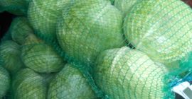 Col de otoño a la venta en Halmeu, condado