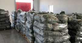 Empresa rumana, comercializa pepinos frescos calibre 7-13 cm, en