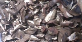 Los boletes de este año se secan en secadoras