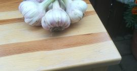 Venderé ajo, variedad harnaś. Ajo vendido por cabezas a