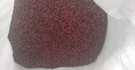 Venderé frijoles rojos secos este año