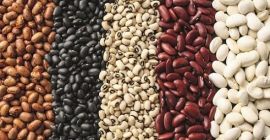 Frijoles. Cualquier volumen. Entrega de frijoles de Ucrania. Mayorista