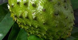 La guanábana es un tipo de fruta que se