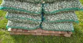 Venderé ajo orgánico certificado, industrial, de menor calibre.