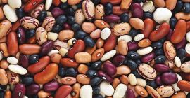 Frijoles al por mayor en el surtido. Judías de