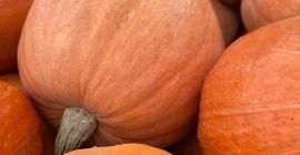 Venderé una calabaza gigante. Peso de unos 20 kg.