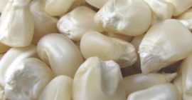 MAÍZ BLANCO Y AMARILLO, MAÍZ KERNEL ENTERO El maíz
