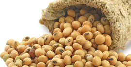 SEMILLAS DE SOJA Ofrecemos servicio postventa para nuestro cliente,