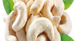 Los anacardos naturales crudos son ricos en proteínas y
