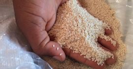 Estamos en el mercado aquí, por lo que podemos