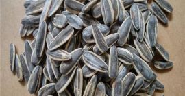 rop Black Sunflower Seeds Precio de alta calidad -