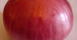 Ya sean cebollas blancas, rojas o amarillas, estas verduras