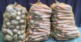 Venta de patatas Bohun y Michalina