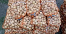 Venderé cebolla empaquetada a 70 groszy por kg, el