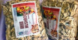 Buenos días damas y caballeros. Nuestra empresa puede ofrecer