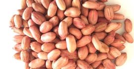 Buenos días damas y caballeros. Nuestra empresa puede ofrecer