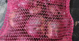 Vendo zanahorias, cebollas, remolacha, perejil y una cantidad mínima.