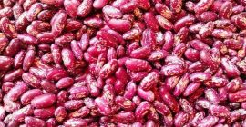 Estimados Amigos les ofrezco frijoles de alta calidad a