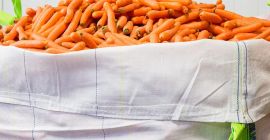 El precio de recogida es de 0,15 € /