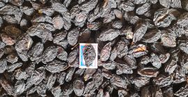 Venda ciruelas pasas orgánicas con y sin símbolos detalles