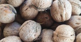 Venderé nueces medianas de este año, buen precio 15