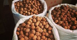 Compraré una nuez (nuez) pequeña y grande al por