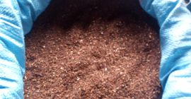 Hola, vendo unas 12 toneladas de trigo sarraceno orgánico,