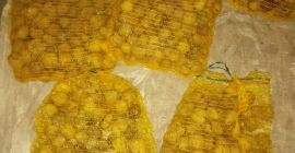 Venderé nueces Jacki, grandes, 60 kg y pequeñas, 2
