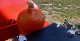 Compre empaques de calabazas de hokkaido en el lado