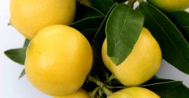 El limón dulce, también conocido como lima, lima mediterránea,