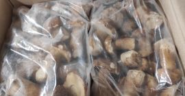 Hongos congelados de primera calidad tengo alrededor de 15