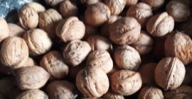 Venderé nueces precio 2,50 PLN por 1 kg muj