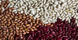 Frijoles de campos ucranianos Ofrecemos a la venta frijoles