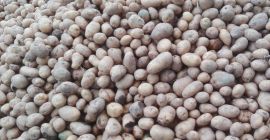 Buen día. Venderé patatas comestibles de mi propia finca,