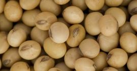 Nuestros productos precios FOB, todos disponibles con nosotros buscamos