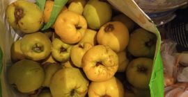 Puedo entregar fruta orgánica fresca madura de las cercanías