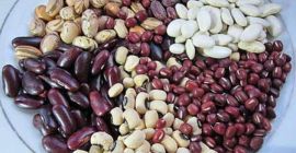 Frijoles a granel (fabricados en Ucrania) La empresa ucraniana