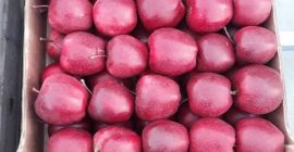 Hola, tengo a la venta manzanas de la variedad