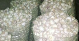 Wubinco Nig. LTD es una empresa agrícola, somos una