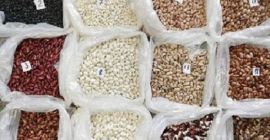 Venta de diferentes variedades de frijoles Bins NaturProduct vende