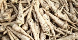 Venderé perejil, variedad eaglo, agradable, saludable. 2,00 PLN kg.