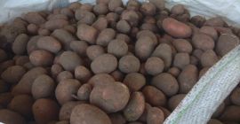 Venderé papas amarillas y rojas, empaquetadas con 15 kg