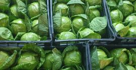 proviene de Albania y es un producto muy bueno.