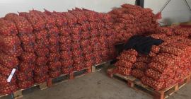 FERMA POMICOLA LUCA SRL - Rumania Milotai 10 Cantidad